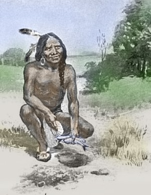 squnato-wikicommons-colorized