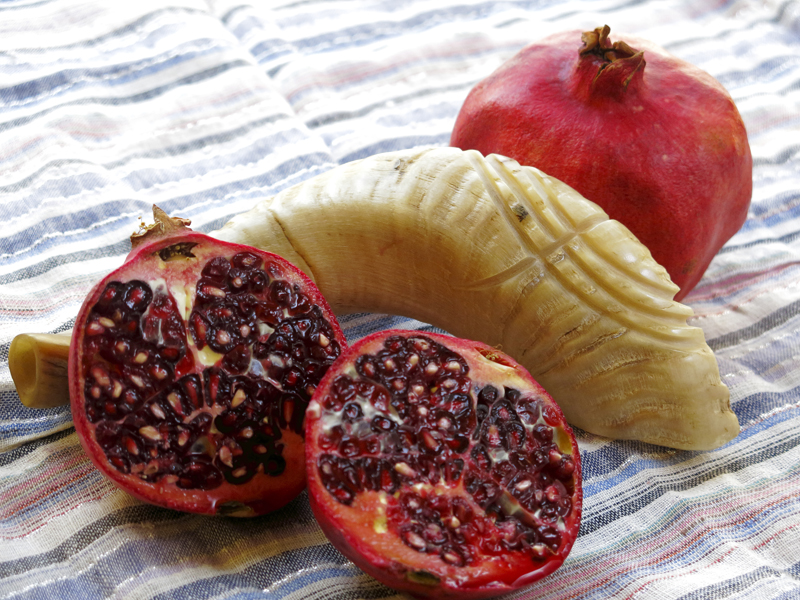 Awake, O Israel. Shana tovah
