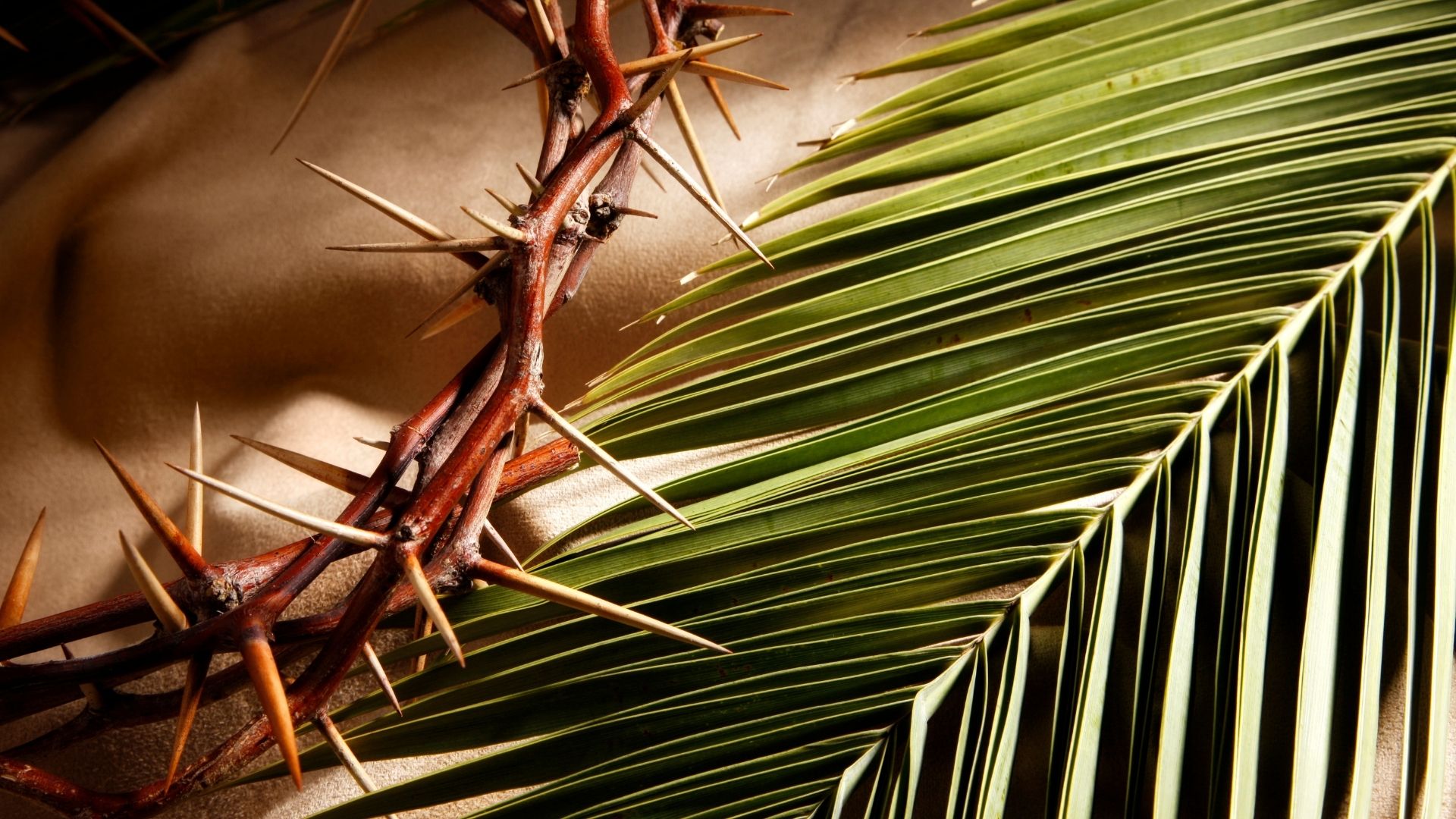 Sermon: Will you believe God’s answer to our hosanna?